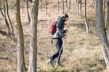 Naklejka premium Healthy man with hiking equipment walking in mountain forest