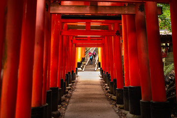 Naklejka premium Senbon Torii ze świątyni Fushimi Inari, Kioto, Japonia