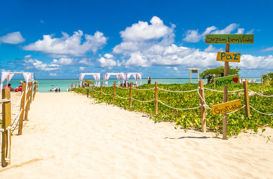 Beaches of Brazil - Maragogi - Ponta de Mangue Beach - Alagoas