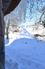 Fototapety na wymiar - Fototapeta24.pl