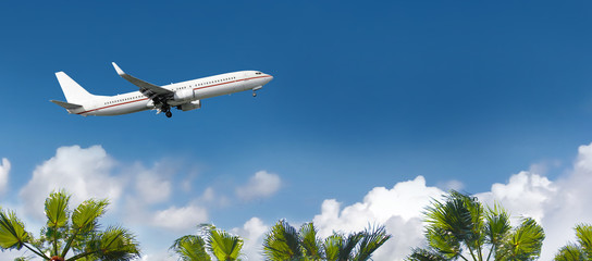 White airplane flying above the palm trees.