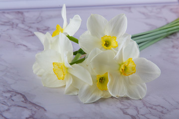 Naklejka na ściany i meble Front view on beautiful bouquet of narcissus laying on marble table