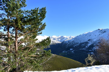 Winter landscape with snowy mountains, green valley with forest and pine trees. View from a peak with blue sky. Ancares Region, Lugo Province, Galicia, Spain.
