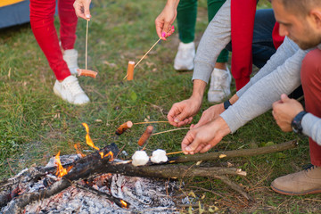 Fototapeta na wymiar travel, tourism, hike, picnic and people concept - group of happy friends frying sausages on campfire near lake.