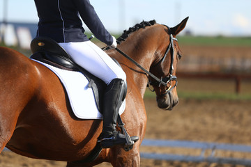 Unknown contestant rides at dressage horse event in riding ground outdoors