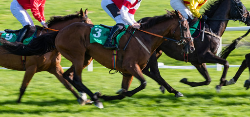 Horse racing action, close up on horses sprinting at speed, motion blur effect