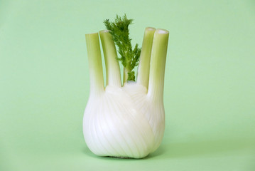 Fennel on green background