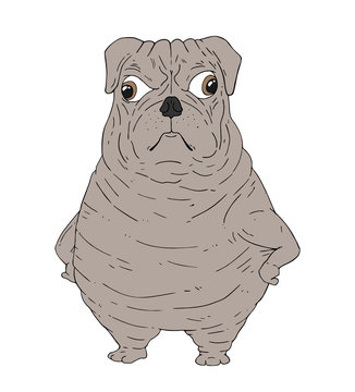 funny serious dog