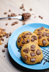 Sweet chocolate chip cookies on blue plate