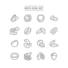 NUTS ICON SET
