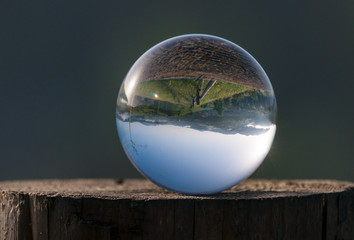 Glass ball on the forrest background. Zen-like and meditation concept