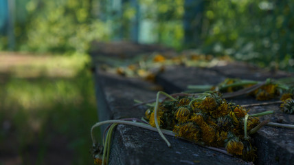 bench in autumn park