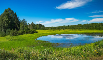 Fototapeta na wymiar Summer landscape with green medow and pond, forest and village on horizon near Sangis in Kalix Municipality, Norrbotten, Sweden. Swedish landscape in summertime.