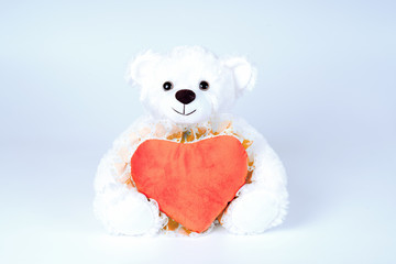 Teddy bear with red heart. Valentine's Day concept.
