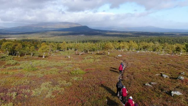 Aerial hikers in Sweden on path in the lapland wilderness