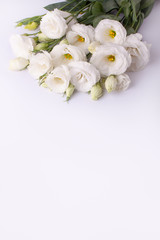 Fototapeta na wymiar Gentle eustoma flowers on a white paper background.