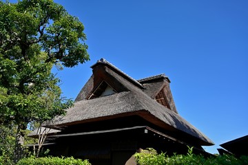 青空バックに佇む茅葺屋根の茶室の情景