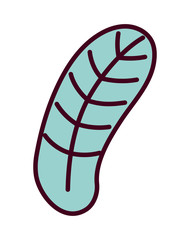 green leaf foliage botanical nature decoration