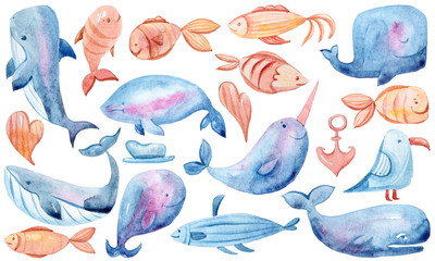 Watercolor hand painted cartoon ocean creatures set. Fish and whales illustration on white background. Perfect for pattern, print, scrapbooking, stickers