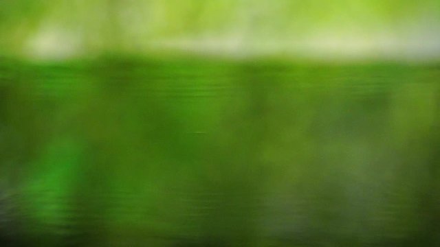 爽やかな緑背景と水面に落ちる滴の動画