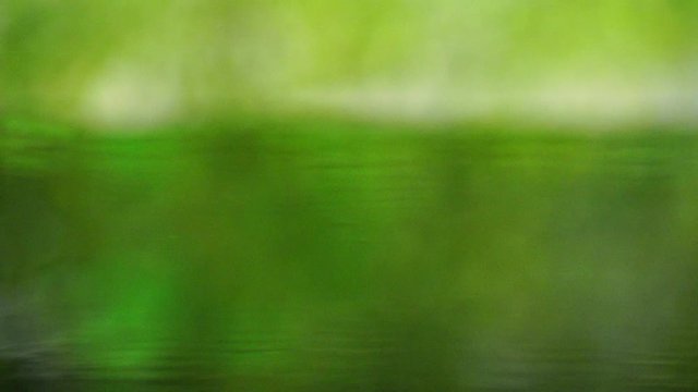 爽やかな緑背景と水面に落ちる滴の動画