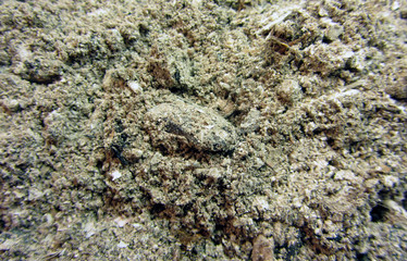 It is grey powder that remains after something has been burned.  