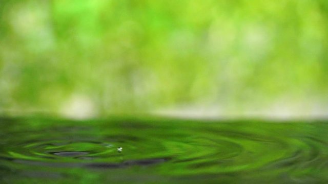 爽やかな緑背景と水面に落ちる滴の動画