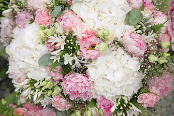 Pink peonies, white hydrangeas, delicate bouquet of flowers