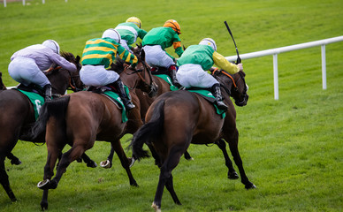 Race horses and jockeys sprinting towards the finish line