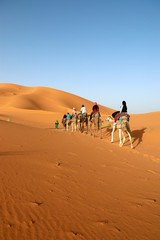 Caravan of camel in the sahara desert of Morocco