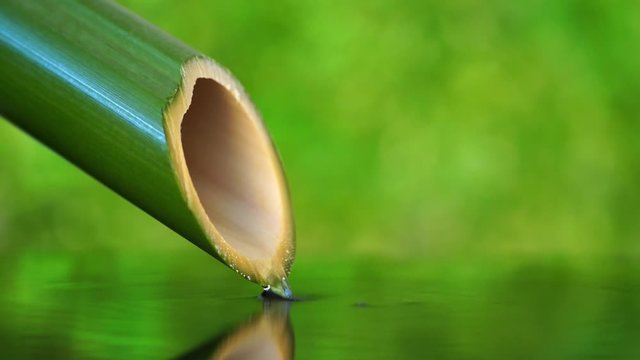 爽やかな緑背景と竹から流れる水の動画