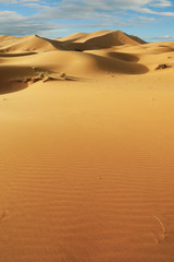 sand dune in the sahara desert 