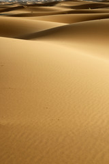 sand dune in the sahara desert 