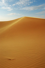 Fototapeta na wymiar sand dune in the sahara desert 
