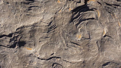 Rocks in Sahara desert