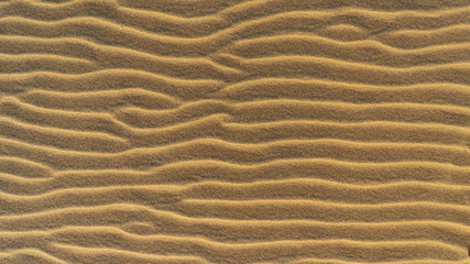 Dune sand background in Sahara desert