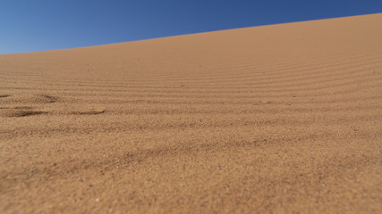 Landscape of Sahara desert