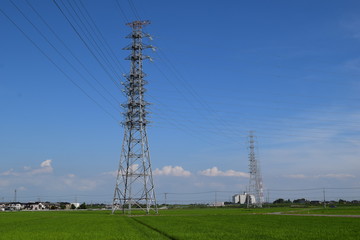 首都圏の送電線