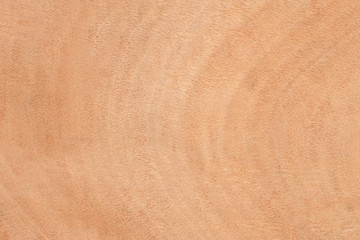 Fragment of the texture of the plywood sheet.