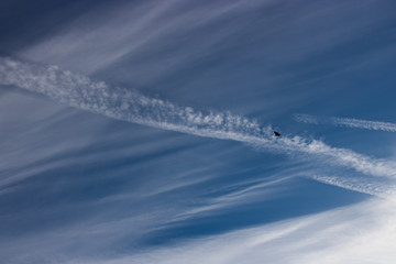 blue sky with bird