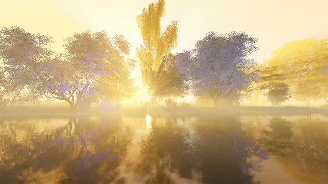 A smooth camera flight along the riverbank on a beautiful spring morning!