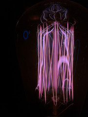 Light Bulb 