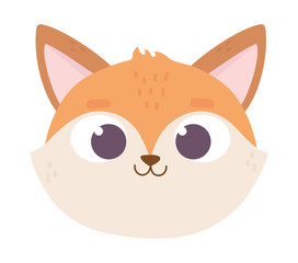 cute animal fox face cartoon on white background