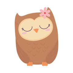 cute animal owl female bird cartoon icon