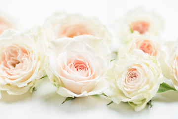 Fototapeta na wymiar Beautiful white roses flower on white table
