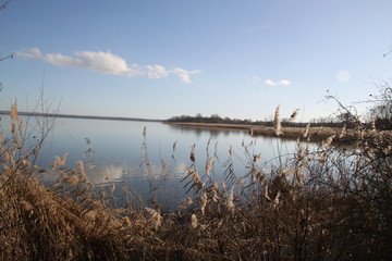 Madine lake natural reeds landscape