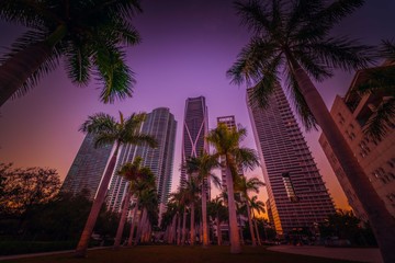 city cityscape buildings downtown architecture sky night sunset skyscraper miami panorama tower dusk