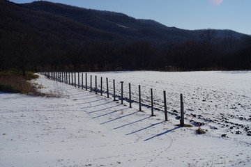 山と雪原の杭