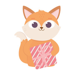 happy valentines day, cute fox with gift box hearts love