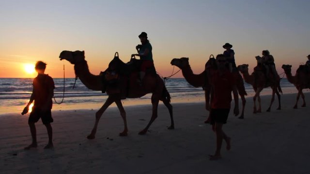 Sunset At Cable Beach In Broome, Australia (Camels Galore)